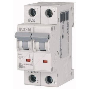 Автовимикач Eaton 194773 HL 25А 2р C 44495 фото
