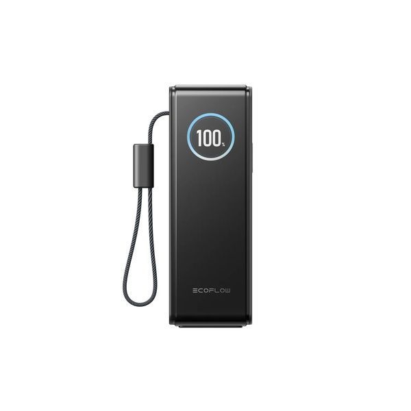 Павербанк EcoFlow RAPID Power Bank з кабелями 25000mAh чорний EF-RAPID25K100W-B-EU фото