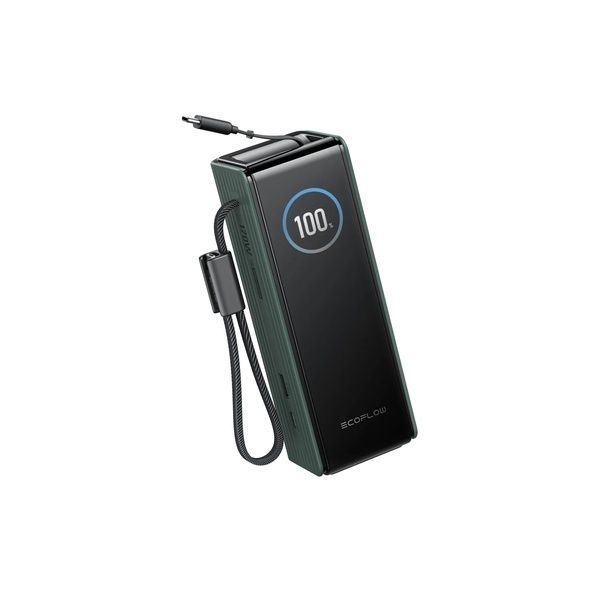 Павербанк EcoFlow RAPID Power Bank з кабелями 25000mAh зелений EF-RAPID25K100W-G-EU фото