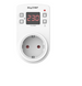 55616 фото 3